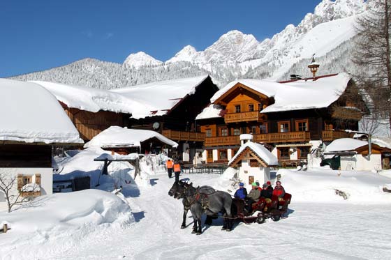 Pferdeschlittenfahrten in Ramsau am Dachstein